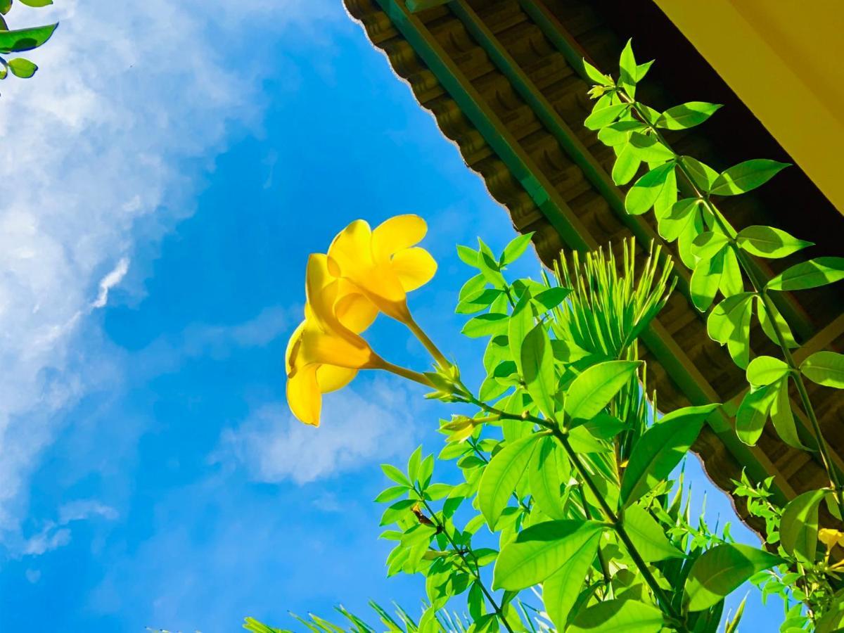 Canary Bungalow Phu Quoc Exteriér fotografie