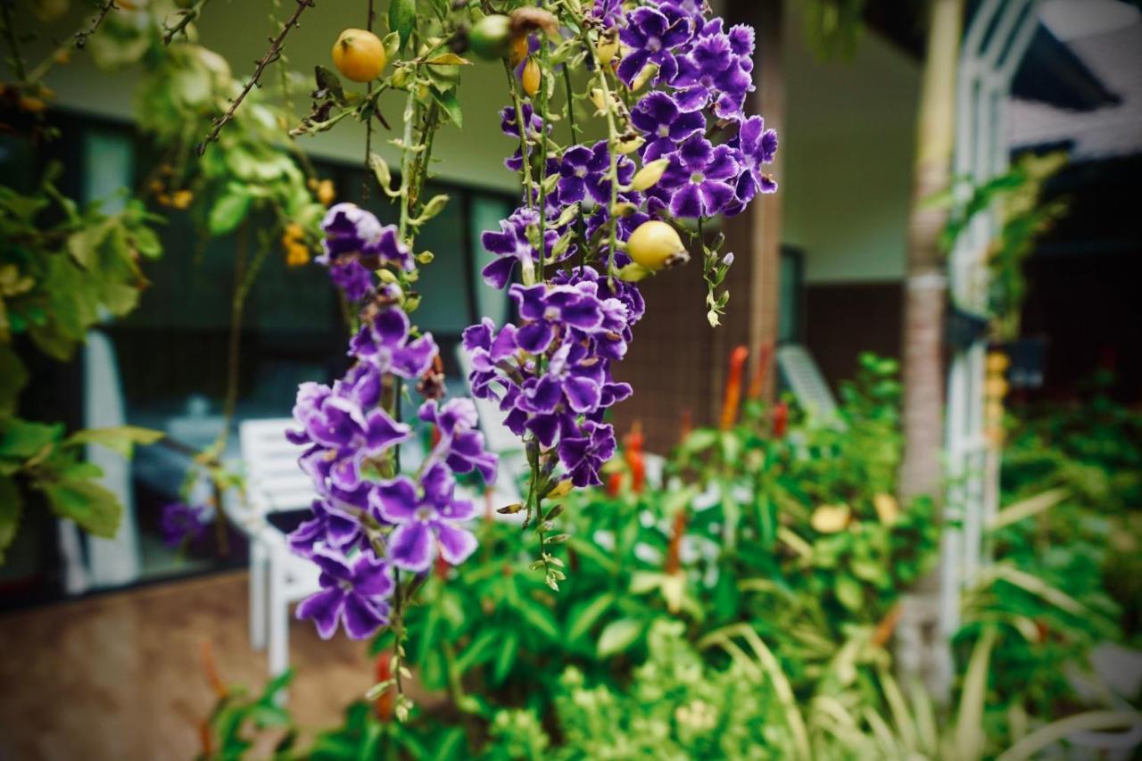 Canary Bungalow Phu Quoc Exteriér fotografie